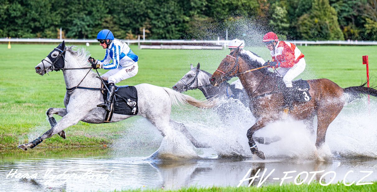 DSC_9778 kopie.jpg